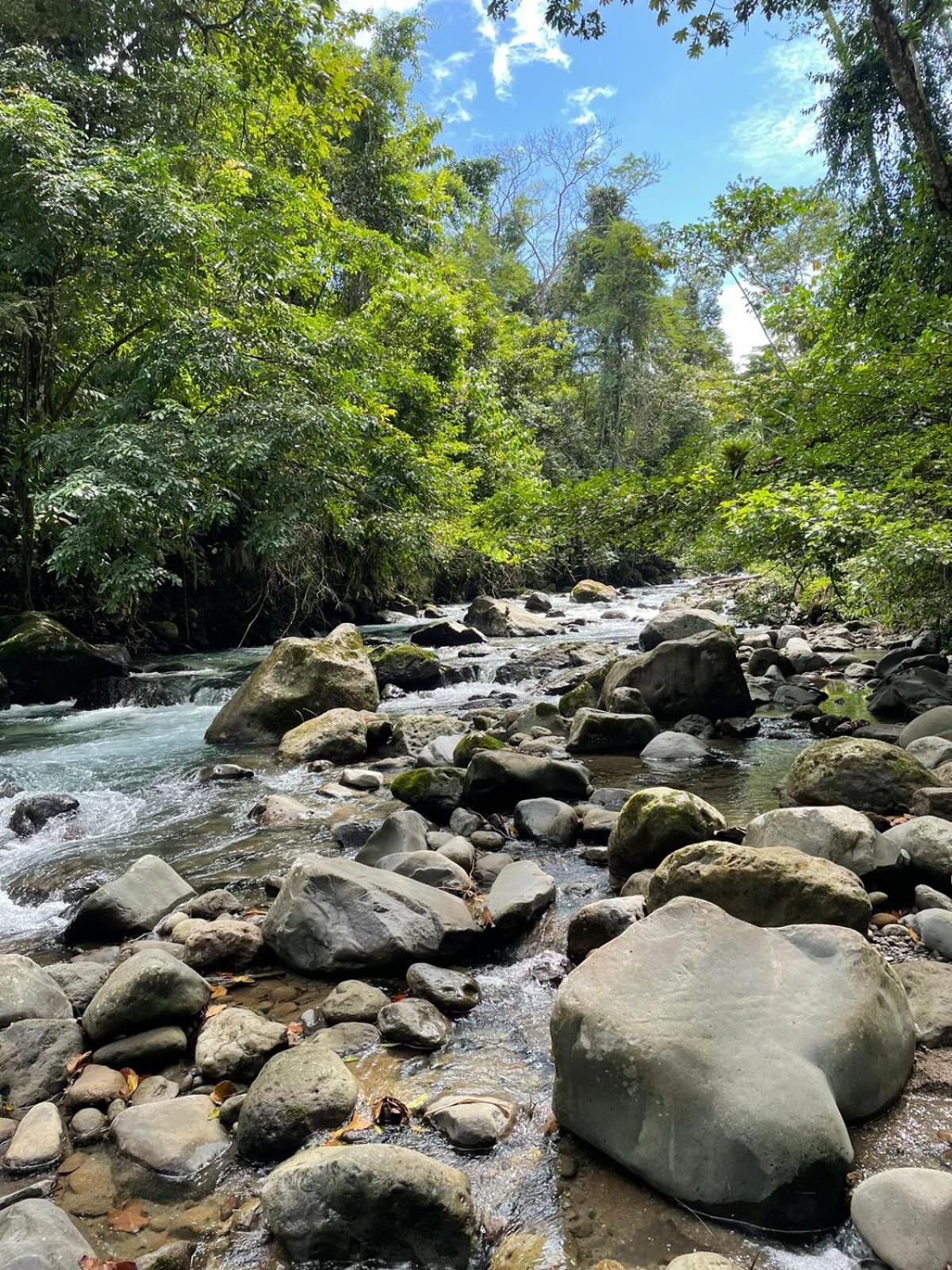 La Fortuna Cabinas La Catarata מראה חיצוני תמונה