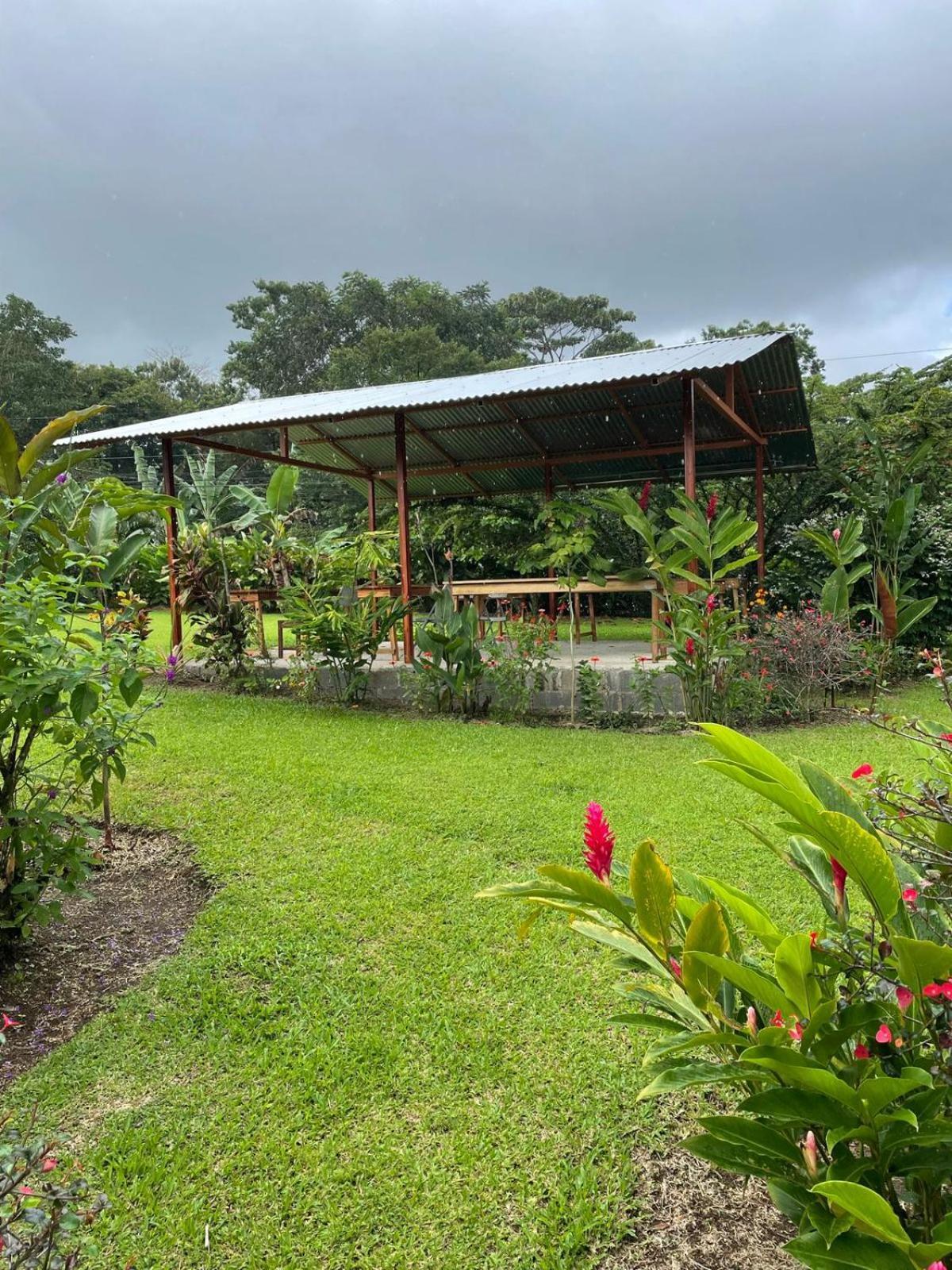 La Fortuna Cabinas La Catarata מראה חיצוני תמונה